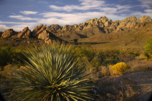 Las Cruces New Mexico - Photo by Ron Miller - ronmiller.com